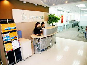 沈阳亨泰莱信息咨询服务加入助威团，以专业力量赋能企业发展