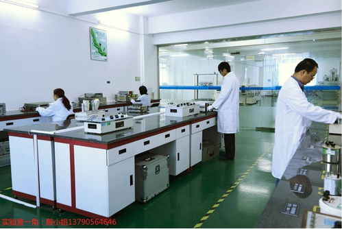 东莞工地设备计量校准下厂服务、外校与信息咨询综合解析